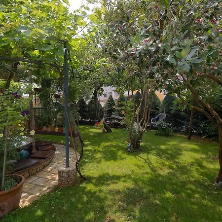 Kascuni A2 Сasa de vacaciones